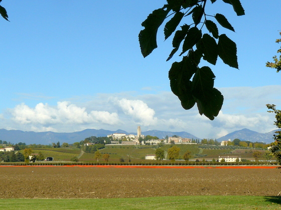 Borgoluce farm w San Salvatore castle.JPG